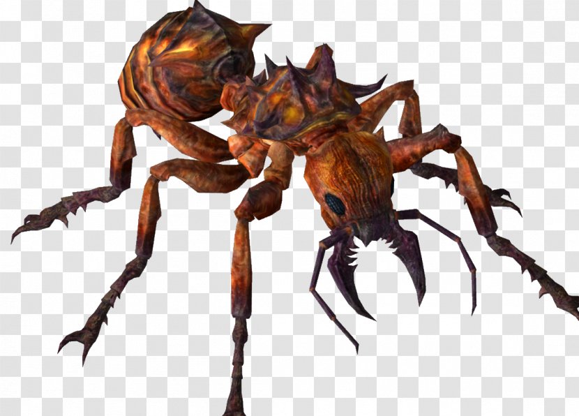 Anansi Boys Spider Ant Nyame - Animal Transparent PNG