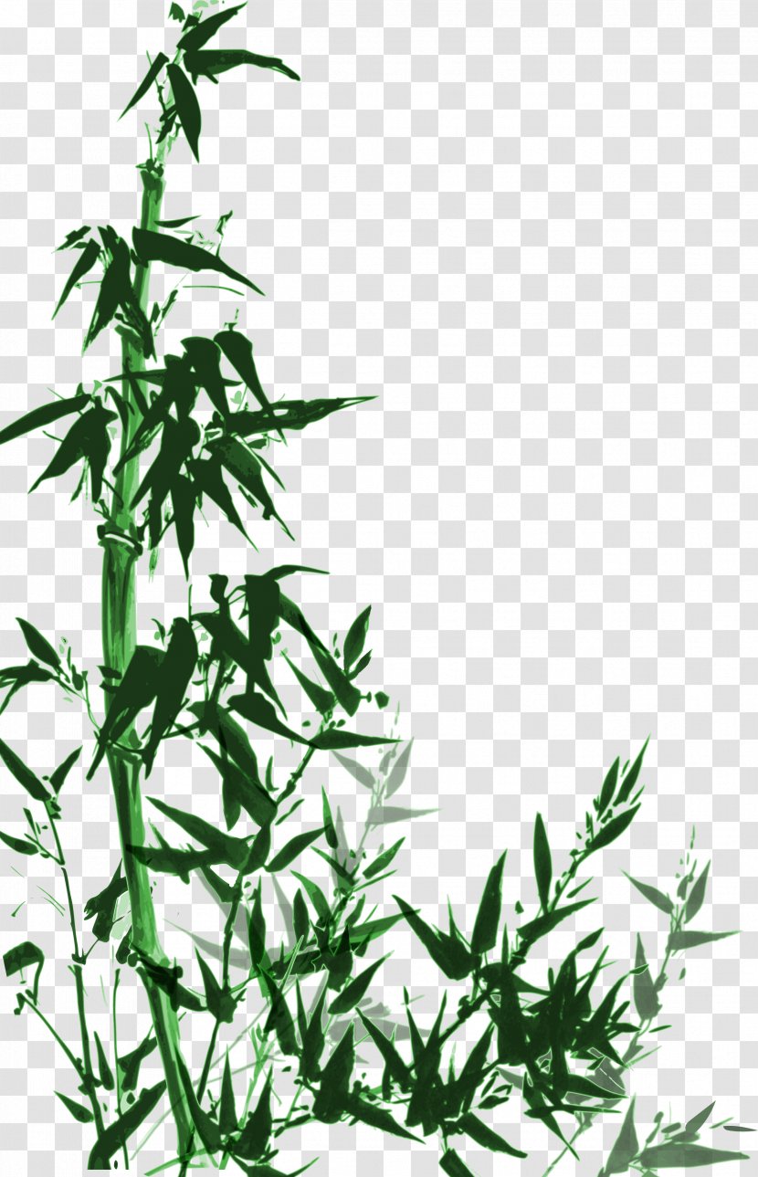 China Bamboo - Drawing - Chinese Style Hand-painted Green Vector Material Transparent PNG