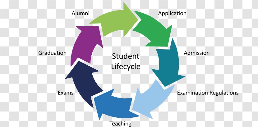 Graduate University Student Manchester Metropolitan College - Athabasca - Campus Life Transparent PNG