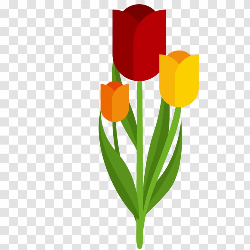 Tulip Euclidean Vector Illustration - Floral Design - Hand-painted Transparent PNG