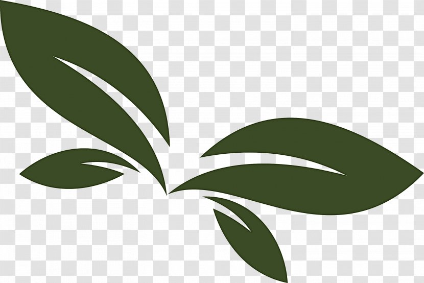 Leaf Green Plant Logo Flower Transparent PNG