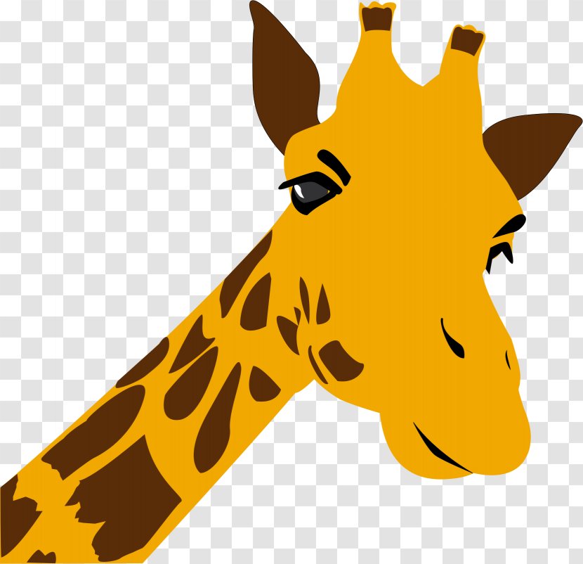 Northern Giraffe Desktop Wallpaper Clip Art Transparent PNG
