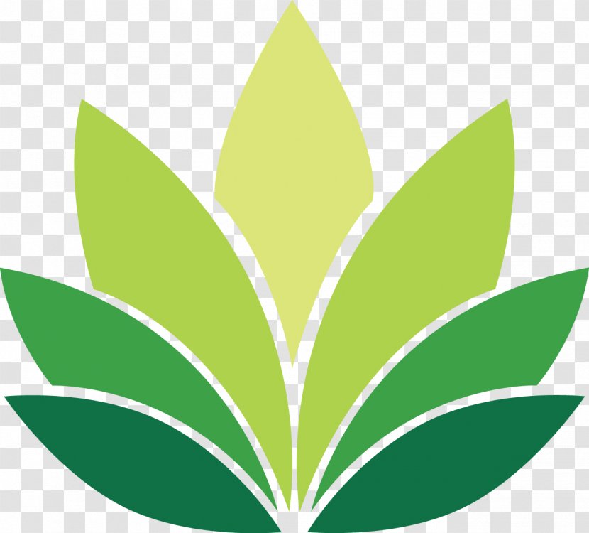 Nelumbo Nucifera National Symbols Of India Pattern - Green Transparent PNG