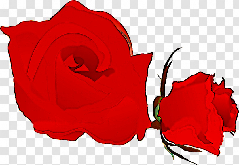 Two Flowers Two Roses Valentines Day Transparent PNG