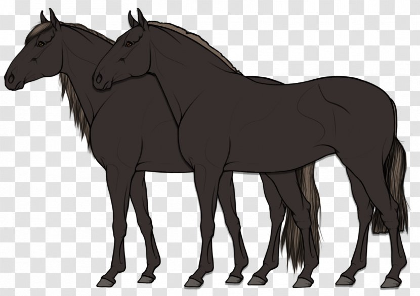 Horse Mane Line Art Mare Animal Figure - Stallion Transparent PNG