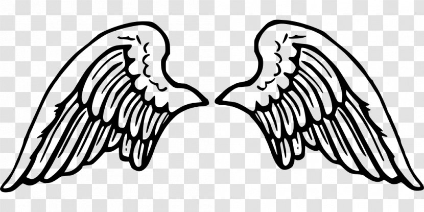 Angel Cartoon - Drawing - Blackandwhite Line Art Transparent PNG