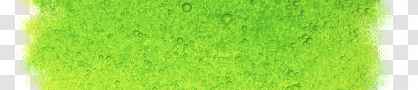 Wheatgrass Commodity - Leaf - Header Background Transparent PNG