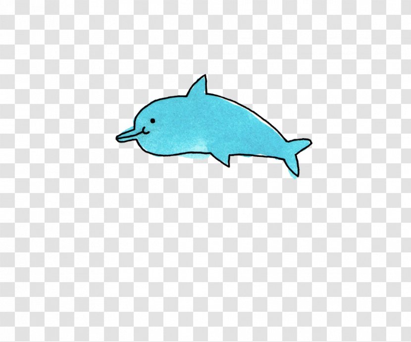 Tucuxi Porpoise Illustration - Whales Dolphins And Porpoises - Hand-painted Whale Transparent PNG