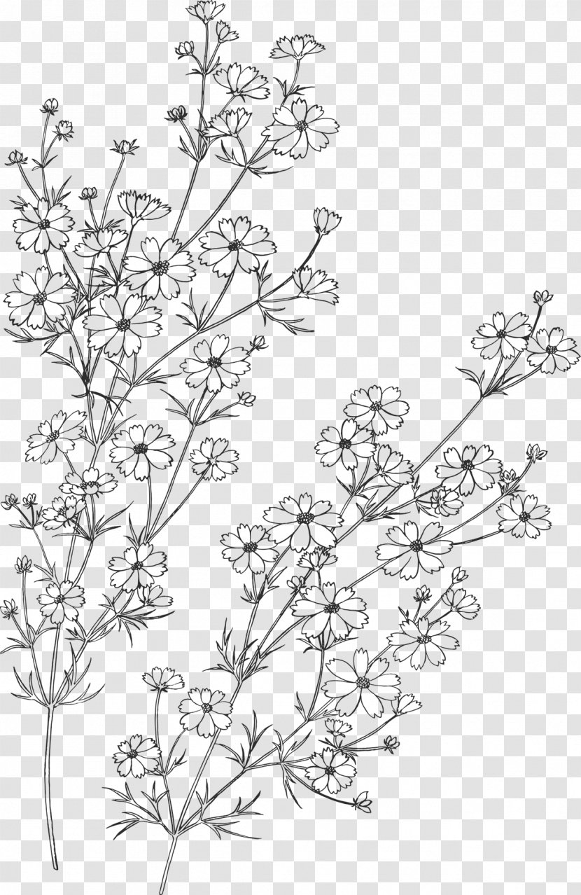 Drawing Painting Flower - Art Transparent PNG
