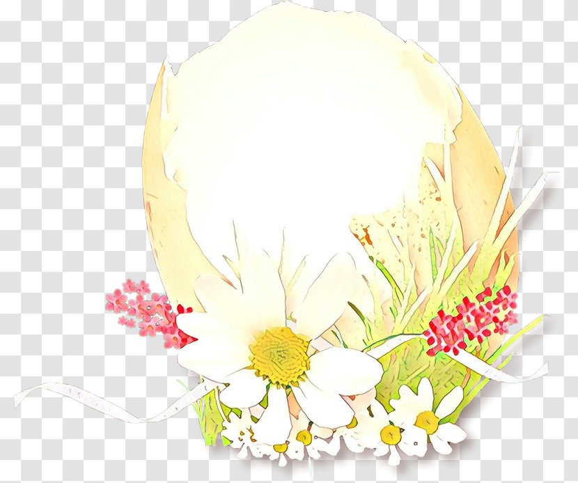 Cut Flowers Floral Design Flower Bouquet Illustration - Camomile Transparent PNG