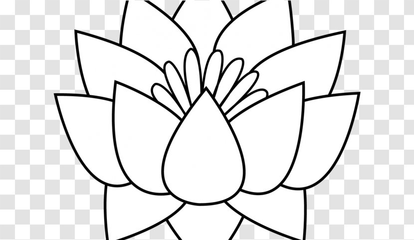 Black And White Flower - Wildflower - Magnolia Transparent PNG