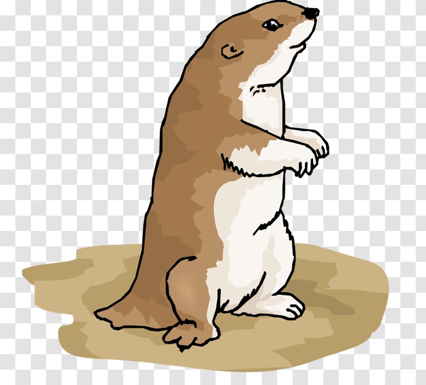 Beaver Cat Dog Canidae - Animal Figure Transparent PNG