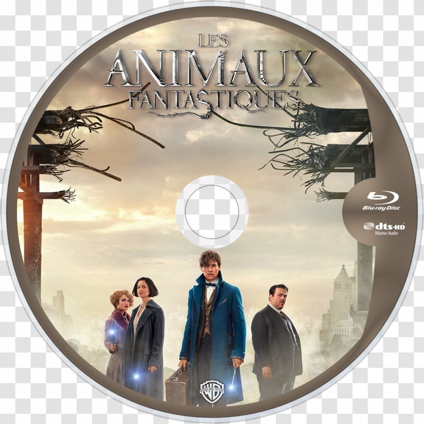 YouTube Newt Scamander Gellert Grindelwald Fantastic Beasts And Where To Find Them Film Series Albus Dumbledore - Youtube Transparent PNG