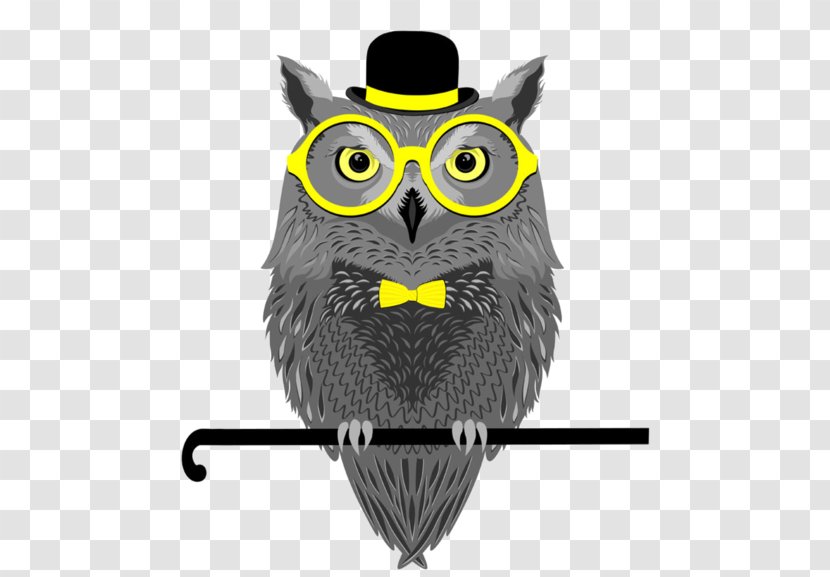 Owl Stock Photography - Eastern Screech Transparent PNG