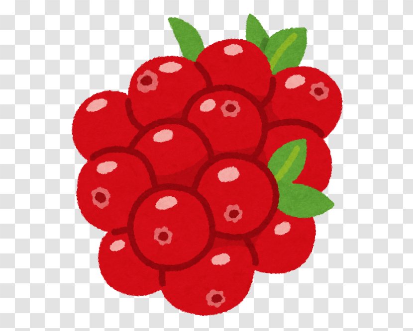Lingonberry Cranberry いらすとや Tomoni - Flower - Fruit Transparent PNG