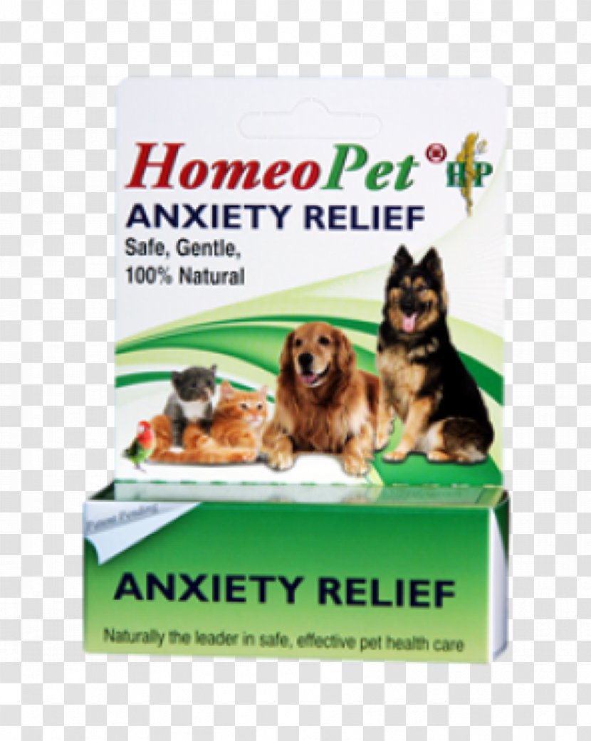 Dog Anxiety Disorder Cat Stress - Worry Transparent PNG