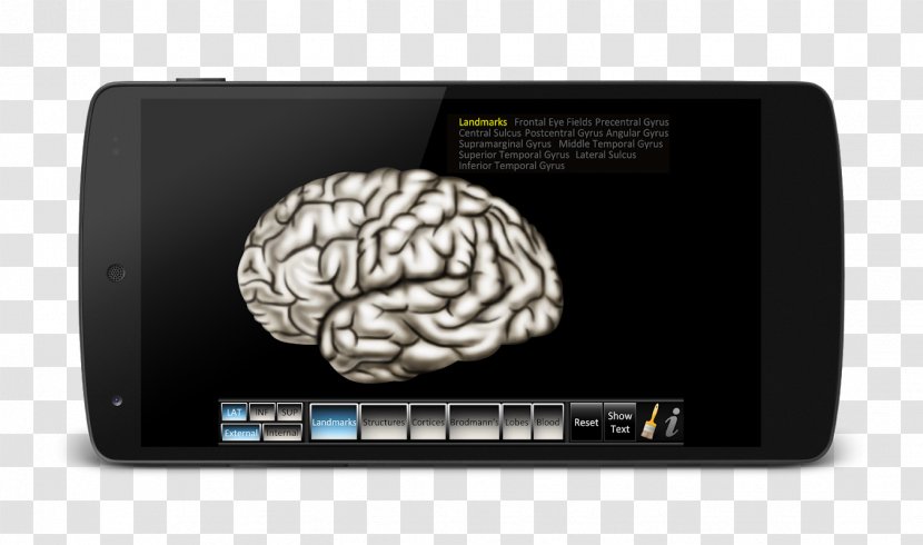 Brain Computer Software Sound Compton Publishing - Flower Transparent PNG