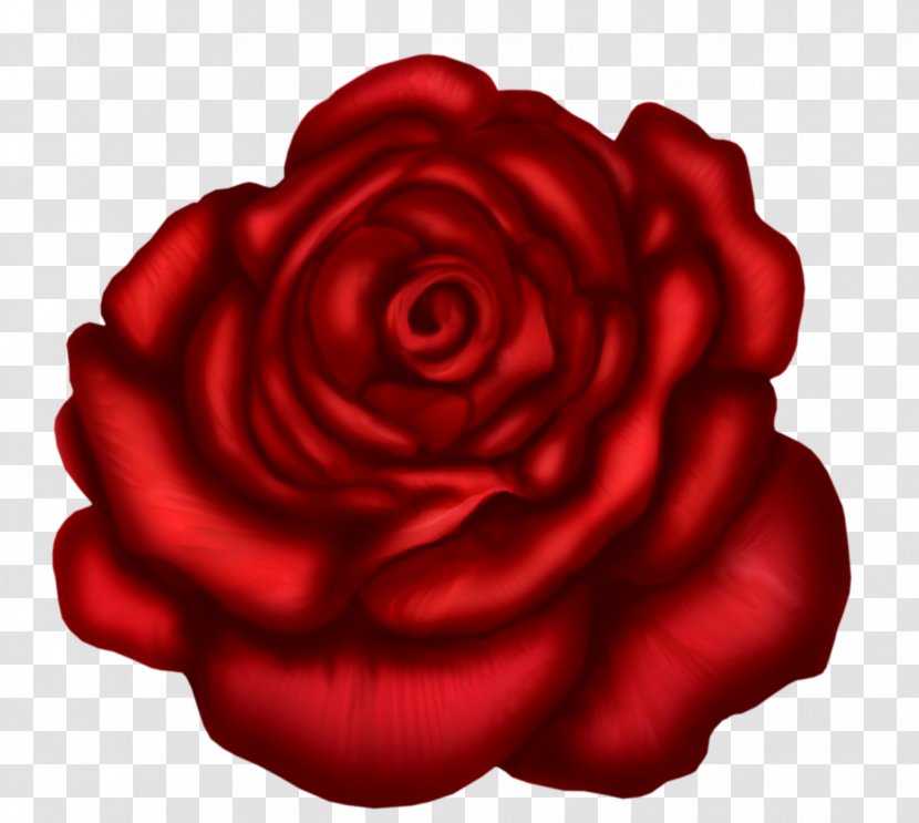 Rose Art Clip - Flowering Plant Transparent PNG