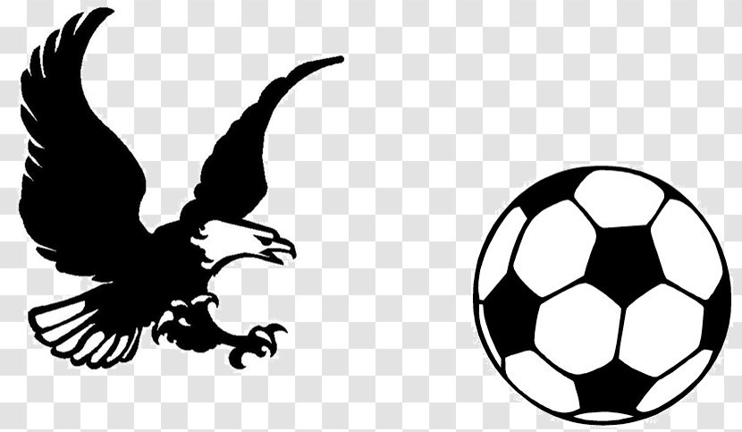 Football Drawing Sport Clip Art - Bird - Ball Transparent PNG