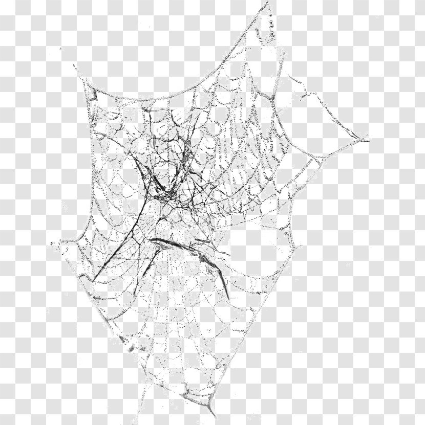 Black And White Spider Line Art Symmetry Pattern - Point - Web Transparent PNG