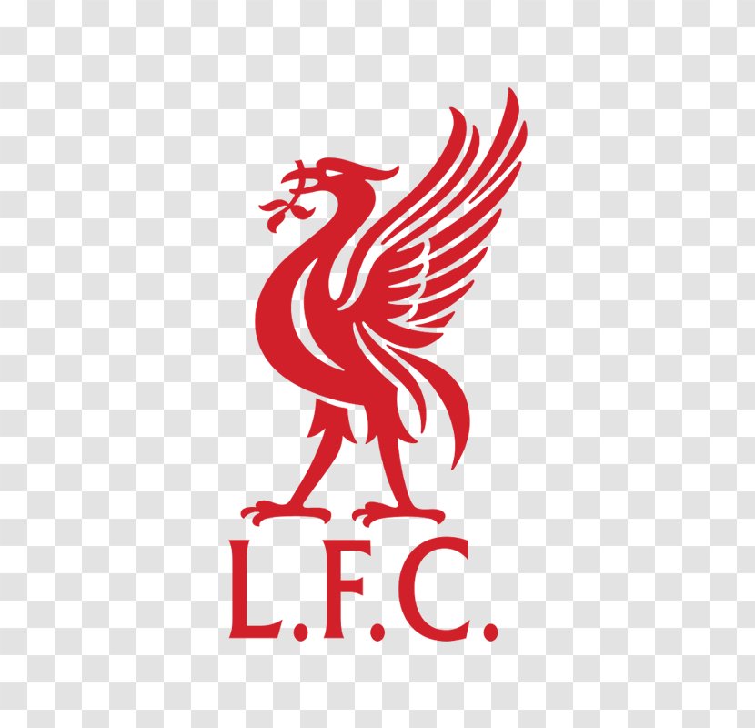 Liverpool F.C. L.F.C. Premier League Brazil National Football Team - Torball Transparent PNG