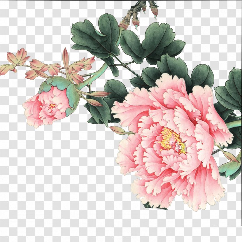 Flower Moutan Peony - Bouquet Transparent PNG