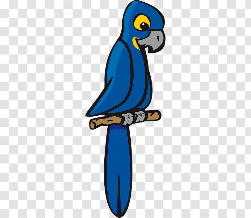 Parrot Bird Hyacinth Macaw Clip Art - Blueheaded - Arched Pennant Transparent PNG