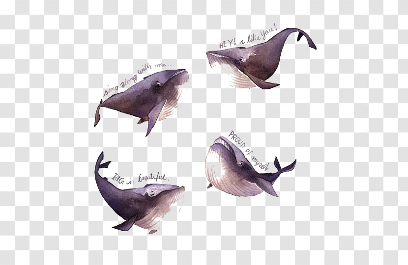 Watercolor Painting Illustrator Iraville Pencil Illustration - H Schmincke Co Gmbh Kg - Whale Transparent PNG