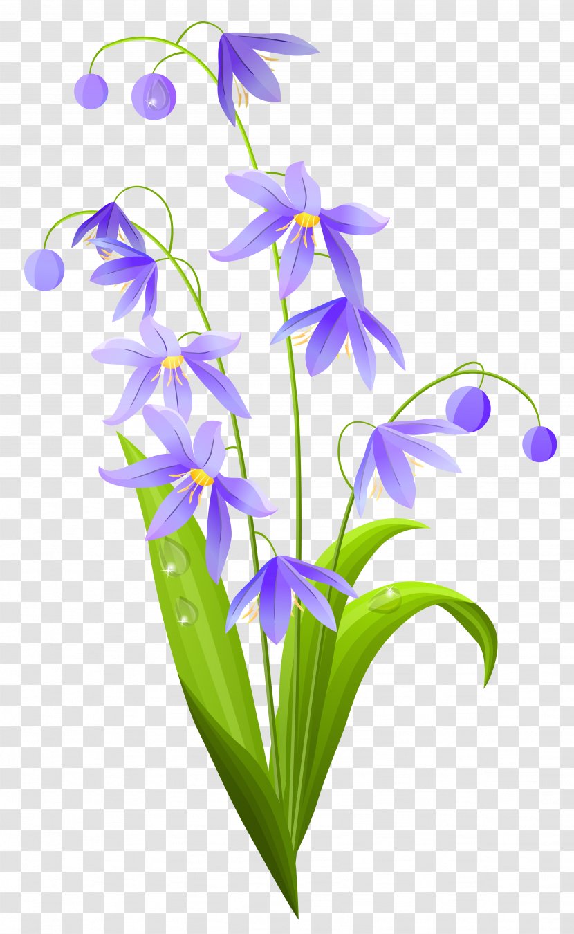 Flower Spring Clip Art - Flora Transparent PNG