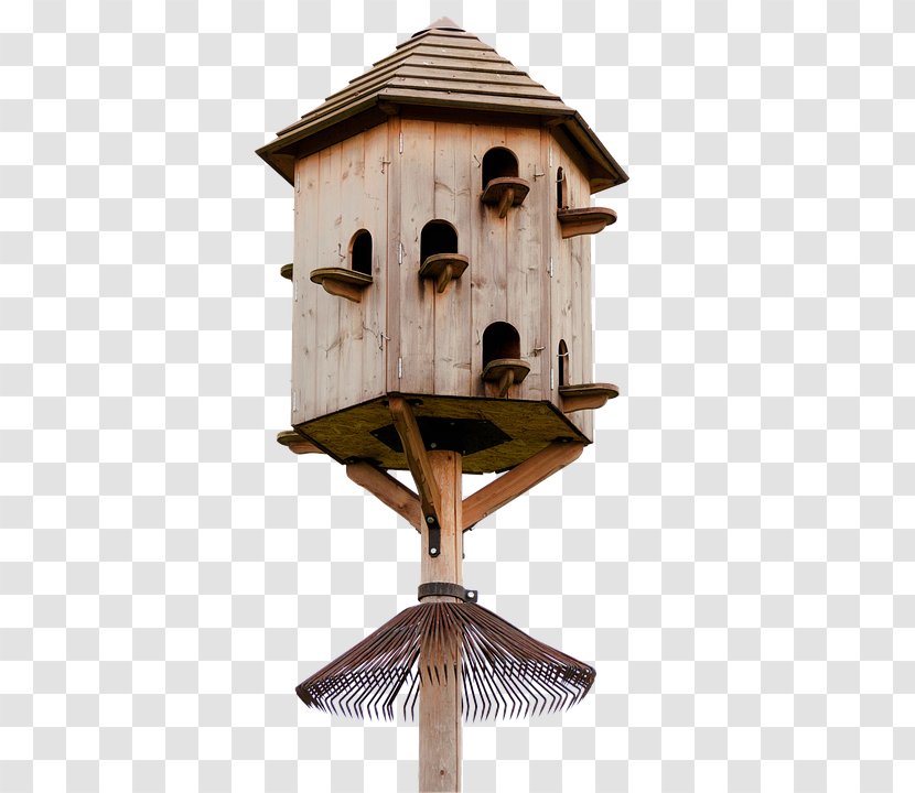 Columbidae Dovecote Wood House Bird - Furniture - Vogelhaus Transparent PNG