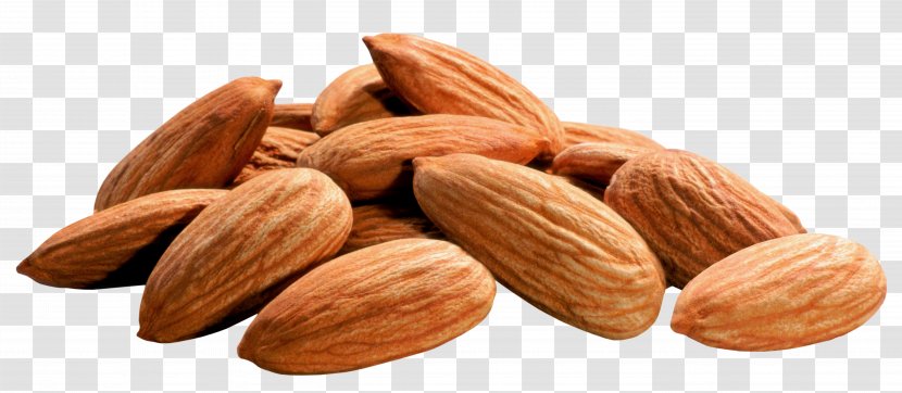 Health Food Organic Ayurveda - Hazelnut - Almonds Image Transparent PNG