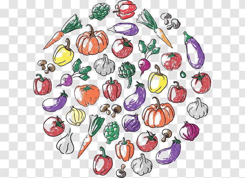 Vegetable Bell Pepper Carrot Garlic - Hand-painted Transparent PNG