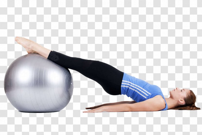 Exercise Ball Physical Core Stability Yoga - Cartoon - Training Transparent PNG