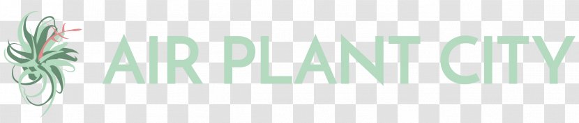 Logo Brand Green Font - Cartoon - Air Plant Transparent PNG
