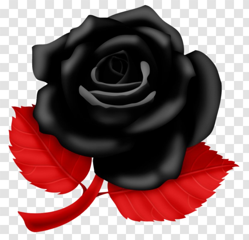 Vector Graphics Clip Art Garden Roses Image - Rose Transparent PNG