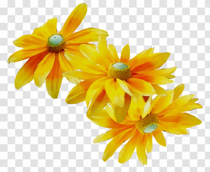 Pot Marigold Yellow Cut Flowers - Artificial Flower Transparent PNG