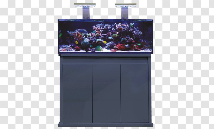 Reef Aquarium Filters Fishkeeping Koi - Aquascaping Transparent PNG