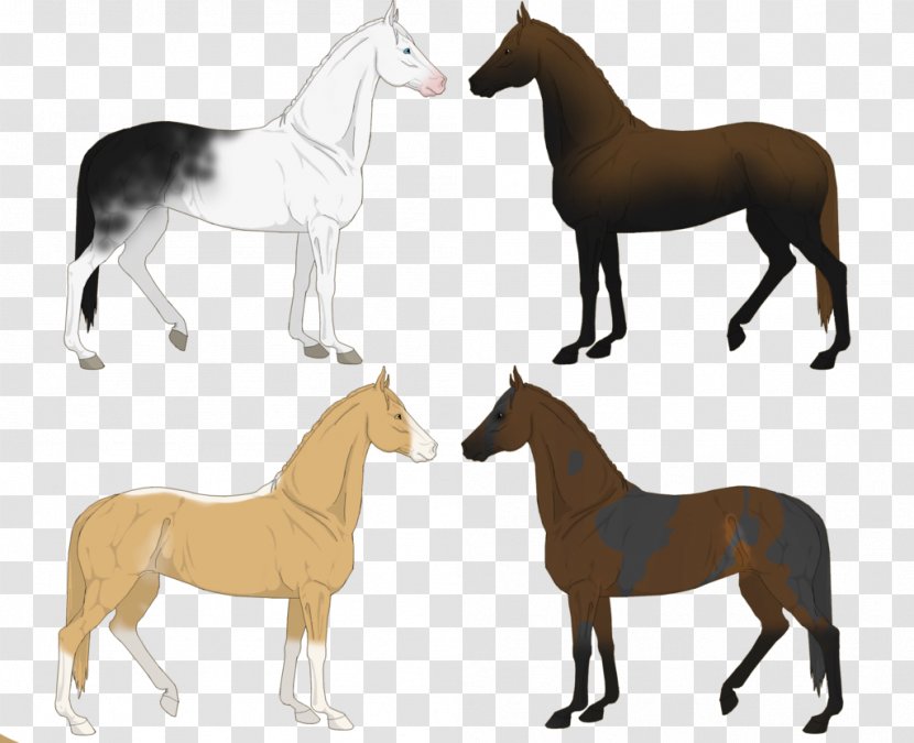 Miniature Dachshund Mustang Foal Mare - Horse Like Mammal Transparent PNG