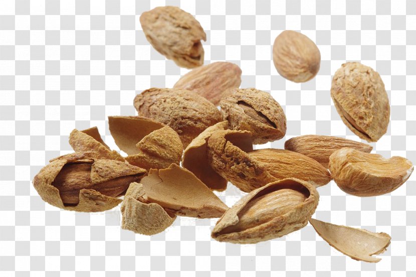 Nut Almond Food - Dessert Transparent PNG