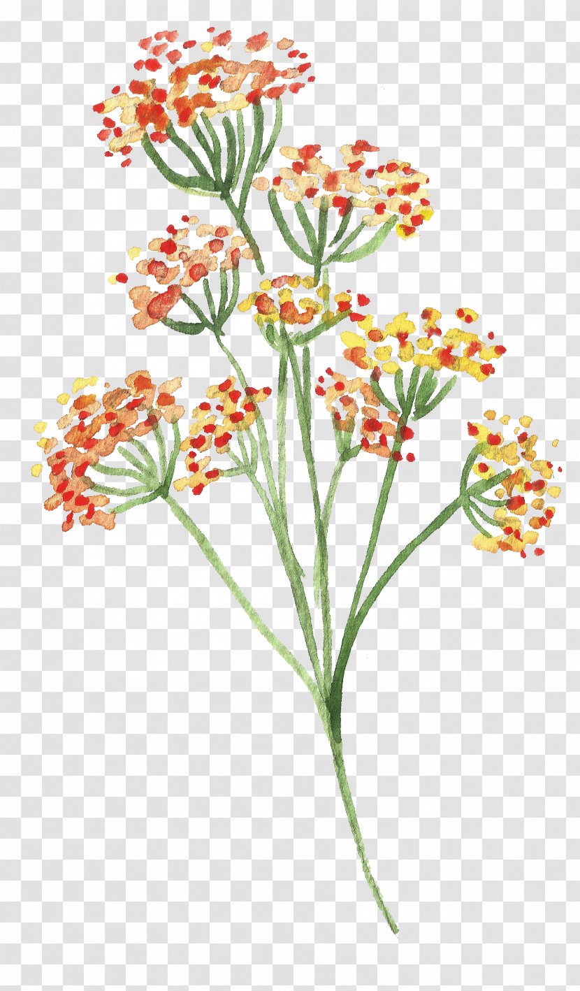 Flower Watercolor Painting Clip Art - Chrysanthemum - Flowers Transparent PNG