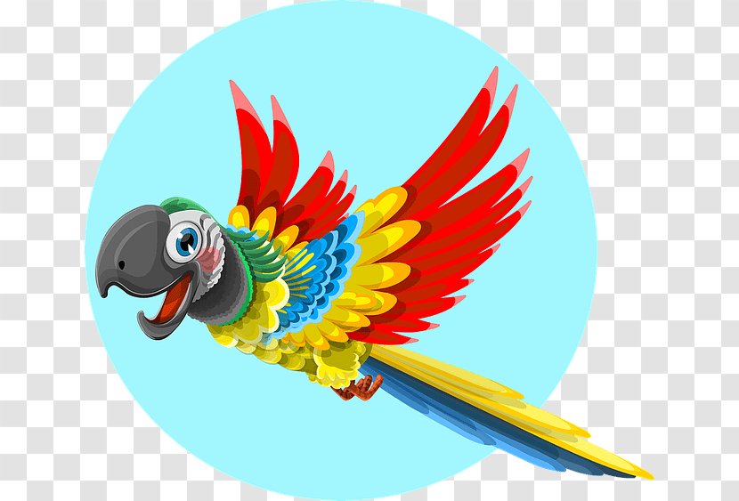 Parrot Clip Art - Perico Transparent PNG