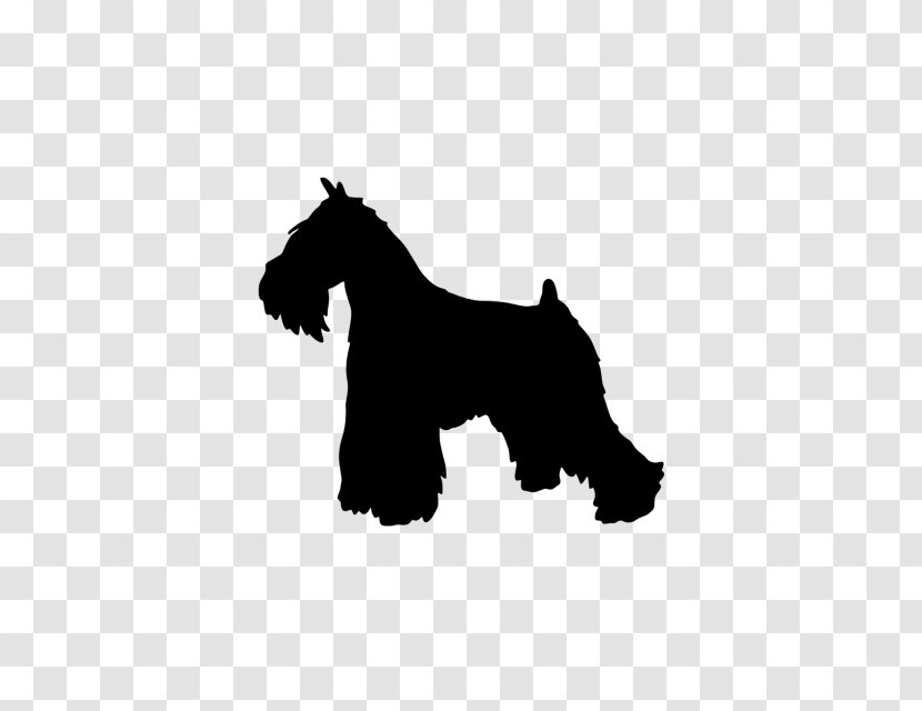 Miniature Schnauzer Scottish Terrier Dog Breed Clip Art - Mammal - Silhouette Transparent PNG