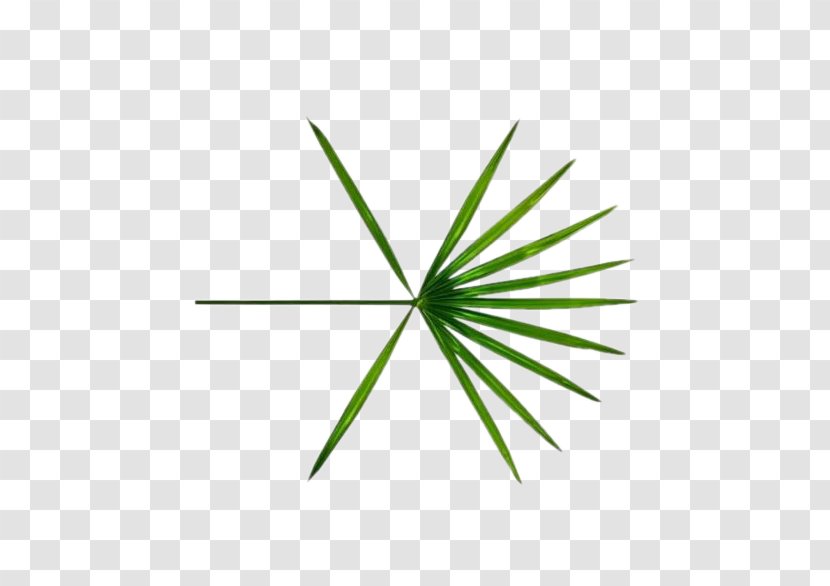 Ko Bop EXO The War Logo SM Town - Xiumin Transparent PNG