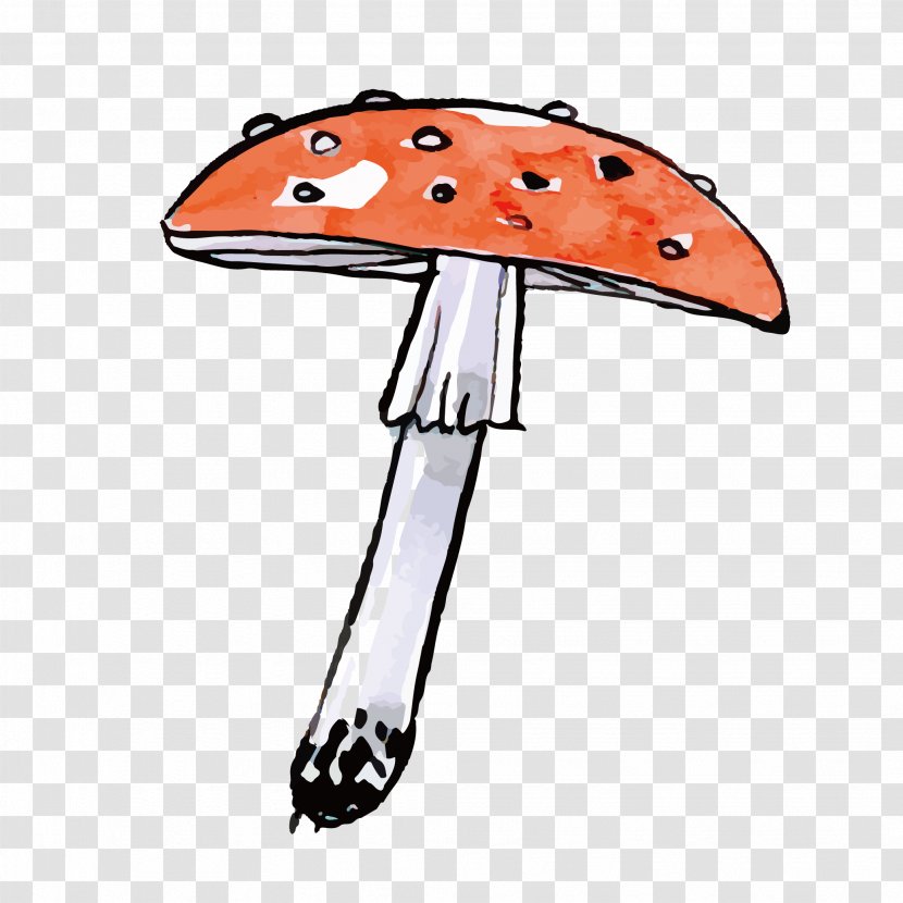 Mushroom Fungus - Headgear - Hand Drawn Vector Wild Mushrooms Transparent PNG