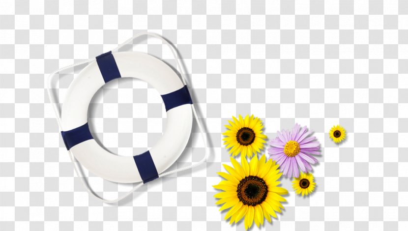 Swimming Download - Sunflower - Laps Transparent PNG