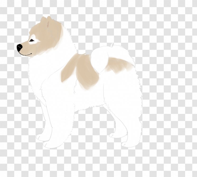 Dog Breed Bear Snout Transparent PNG