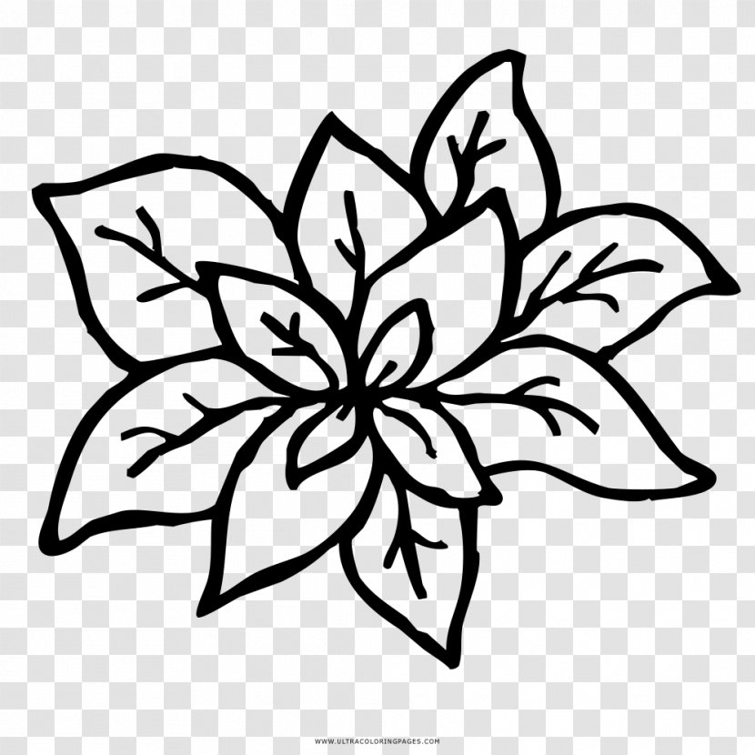 Drawing Coloring Book Basil Floral Design - Blog - Page Transparent PNG