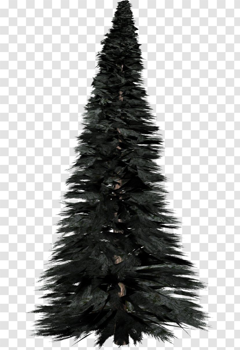 Pine Spruce Tree Clip Art - Photos Transparent PNG