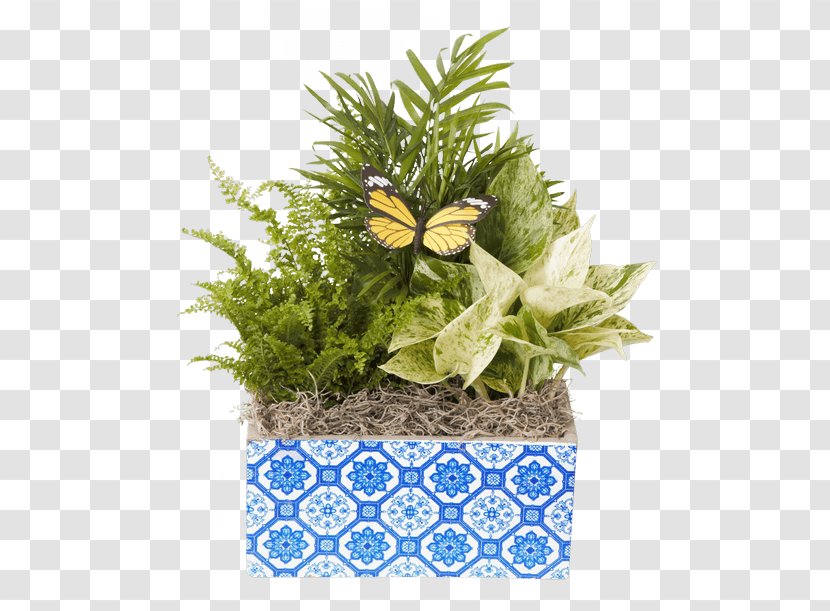 Floral Design Plant Cut Flowers Flowerpot Transparent PNG