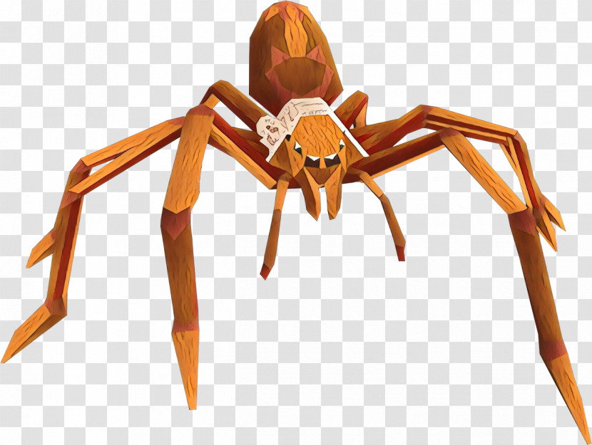 Spider Tarantula Insect Pest Arachnid Transparent PNG